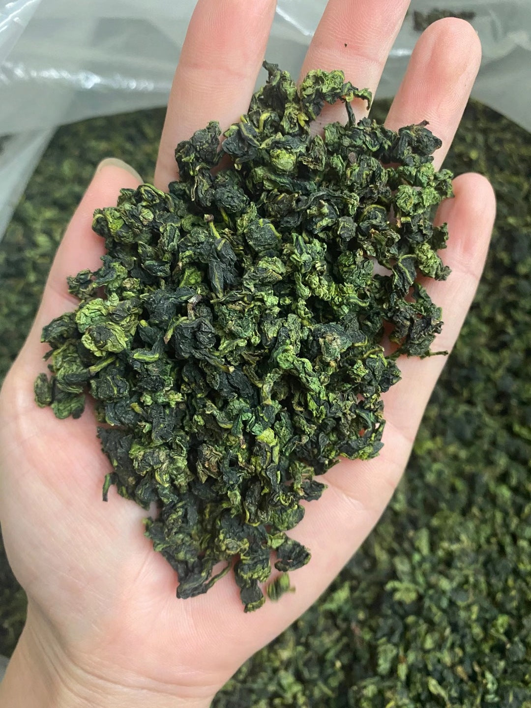 Anxi Fragrant Tieguanyin Tea Gift Box, Bagged