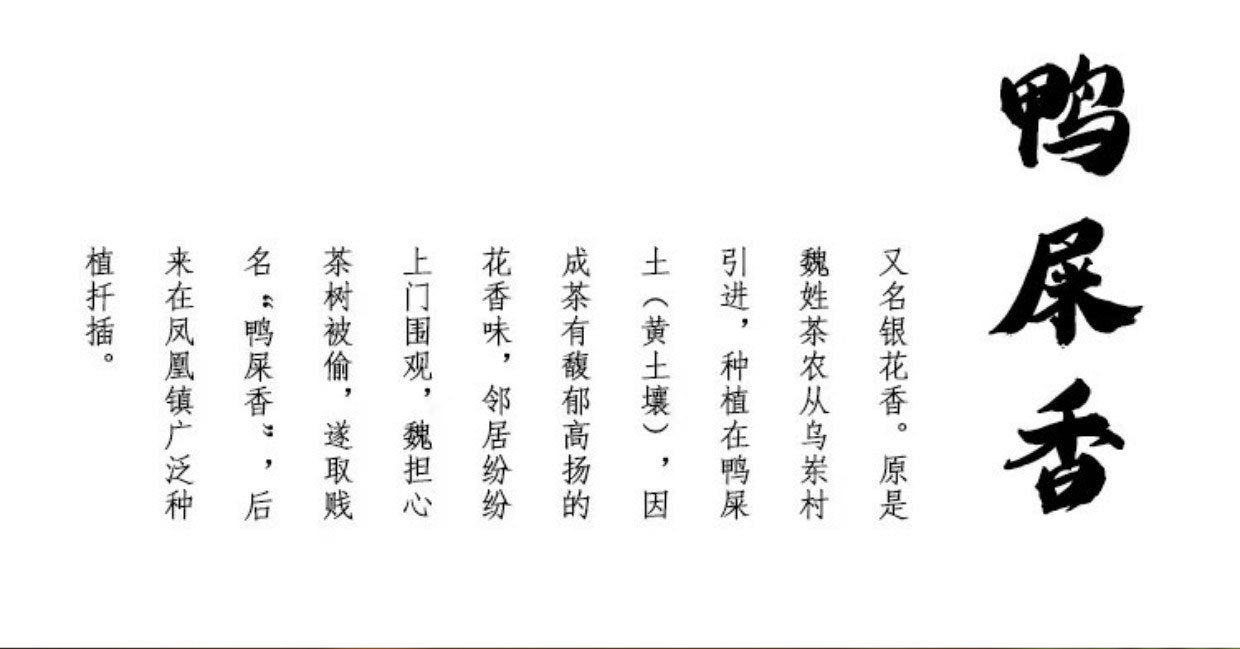 Phoenix dancong tea duck Poo fragrant small square pot 50g gift box with special new tea Chaozhou dancong