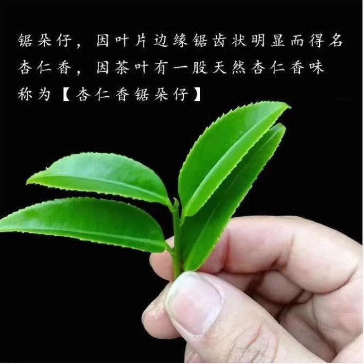 Chaozhou Phoenix high mountain Oolong almond fragrant single bundle tea Wu Shao ancient tree wholesale saw duozi Phoenix dancong tea